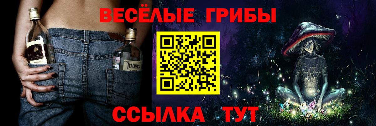 Лобня  Псилоцибиновые грибы MAGIC MUSHROOMS  купить   Вход с VPN 